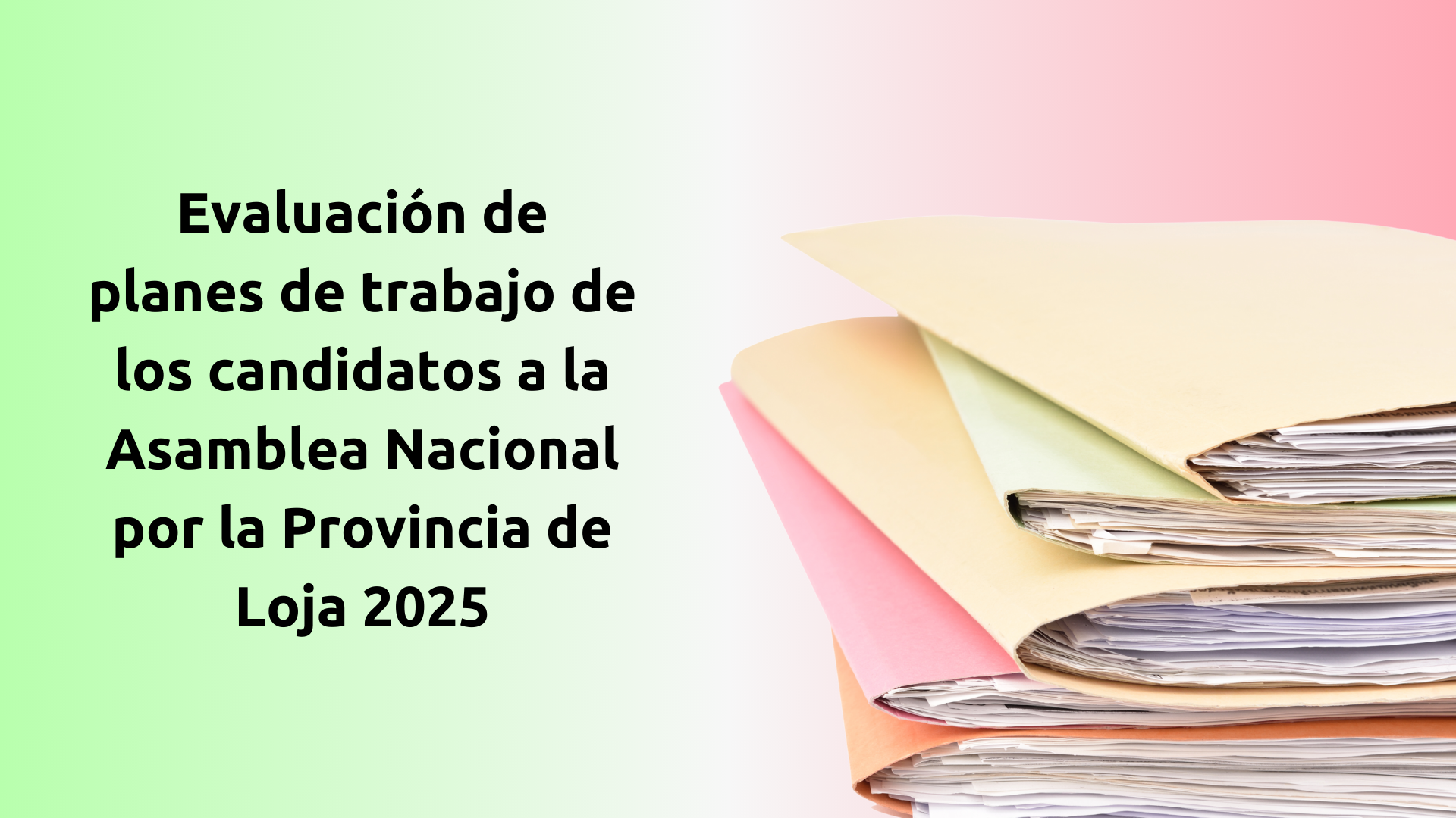 Planes de trabajo presentados en el CNE de candidatos a la Asamblea Nacional de Loja 2025